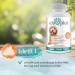 Ida Plus Diarrhea Set for Dogs - Diar Stop Tabs & Darmbiotic Chewing Tablets for Diarrhea Relief & Probiotic Support | 2x180g - Buy Online on GoSupps.com