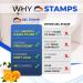 JAVCO -48 Flowers- Flower Toilet Gel Stamp | Toilet Scent Fresheners | Toilet Fresheners Gel Toilet (Orange & Gardenia) - Buy Online on GoSupps.com