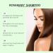 ZLHHRZJX Rosemary Hair Growth Shampoo Thickening and Strengthening Shampoo/Poo to Combat Hair Loss for Women and Men Natural Shampoo/Poo to Combat Hair Loss Gentle Ingredients - Buy Online on GoSupps.com