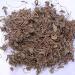 Brahmi Plant Leaves 50 g Bacopa monnieri - Buy Online on GoSupps.com
