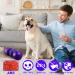 Leipple Interactive Dog Toy for Large Dogs - Rolling Treat Dispenser & Puzzle Toy - Durable Slow Feeder for IQ Improvement & Boredom Reduction - Medium to Large Dogs (Purple) - Buy Online on GoSupps.com