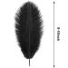 30pcs Black Ostrich Feathers 10-12 Inch - Ideal for Crafts & Decorations - Buy Online on GoSupps.com