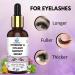 Eyebrow & Eyelash Growth Serum/Oil With Redensyl Biotin (30 ML) | Brow & Lash Boosting Enhancer for Thick Eyebrows and Eyelashes (Pack of 2) 1 Ounce (Pack of 1) - Buy Online on GoSupps.com