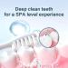 Body Accel Niacinamide Whitening Toothpaste - Stain Removal & Fresh Breath (1PCS) | Premium International Shipping - Buy Online on GoSupps.com