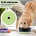 Fretonba Non-Slip Dog & Cat Food Bowl - Adjustable Green Feed & Water Dish for Small & Large Pets - Buy Online on GoSupps.com