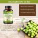 Organic Amla Capsules - 120 Count | Natural Antioxidant Superfood Supplement with Phyllanthus Emblica (Amalaki) Fruit Powder - Buy Online on GoSupps.com