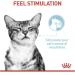 Royal Canin Sensory Feel In Jelly Wet Cat Food 12 x 85g Meat 12 count (Pack of 1) - Buy Online on GoSupps.com