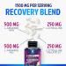 L-Arginine Complex 1500mg - 3X Strength L-Agrinine & L-Citrulline Supplement - Premium Heart Health & Muscle Supporting Nitric Oxide Booster & Energy Blend - for Men & Women Bottled USA - 120 Capsules 120 Count (Pack of 1) - Buy Online on GoSupps.com