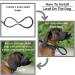Dog Head Collar All in one Headcollar Lead No-Pull Head Collar for Dogs No Pull Training Tool for Dogs on Walks Adjustable Dog Lead 2m for Small Medium and Large Dogs - Buy Online on GoSupps.com