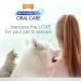 Nylabone Advanced Oral Care Cat Dental Kit Original (3 Count) Cat Adult Cat - Buy Online on GoSupps.com