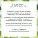 Lifelong Alfalfa Chlorophyll Liquid 50ml - 200mg Daily Dose - Vegan Drops Alternative to Tablets - Buy Online on GoSupps.com