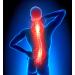 Buy 100% Natural Heat Patch Back Body Heat Pad - Self-Adhesive 10/24 Pieces | Fast International Shipping - Buy Online on GoSupps.com