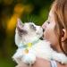 VKPETFR Breakaway Cat Collars with Bell & Cute Pendants - 3 Pack Adjustable Safety Kitten Collars - Ideal Decoration for Girl Boy Cats, Puppies, and Small Pets - Buy Online on GoSupps.com