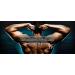 Z Vital Max N02 - Alpha XR Bloodflow Expand | Natural L-Arginine Vasodilator for Enhanced Vein & Tissue Health | Optimal Pre-Workout Supplement - Buy Online on GoSupps.com