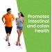 Lewis Labs Healthy Gut Prebiotic Fiber 6 Oz - Probiotics, Digestive Enzymes, Keto Friendly, Gluten Free, Vegan - Support Digestion and Gut Health - Buy Online on GoSupps.com