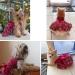 Delifur X-Large Red Dog Tutu Wedding Dress - Flower Princess Pet Costume for Spring & Summer Parties - Buy Online on GoSupps.com