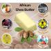 8oz. Raw Unrefined African Shea Butter from Ghana - Pure Ivory Shea Butter - Buy Online on GoSupps.com