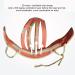 Buy Baby Safety Helmet - Adjustable Cotton Safety Hat for Walking & Crawling | Impact Resistance - Beige - Buy Online on GoSupps.com