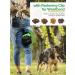 Realure Dog Training Treats - Small Feed Bag with Fastening Clip | Perfect for Travel & Walks - Buy Online on GoSupps.com