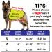 Rescue Dog Jacket Vest Adopt Me Dog Vest Foster Dog Slogan Vest (Adopt Me-Large) - Buy Online on GoSupps.com