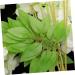 Zerodeko 60 Pcs Simulated Violet Faux Hanging Flower House Plants Artificial Outdoor Flowers Artificial Wisteria Rattan Decor Hanging Wall Flower Pendant Plastic Indoor Accessories White - Buy Online on GoSupps.com