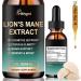 Hlthgrd Lions Mane Liquid Lion Mane Mushroom Supplement Lions Mane Extract Lions Mane Drops for Cognitive Focus Clarity Memory Mood Brain Support 2 Fl Oz Up to 120-Servings Supply