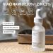 Niacinamide10%+Zinc 1% Face moisturizer Pore Reducer Face Serum Tackles Blemishes Niacinamide Serum for Blemish-Prone Dull Skin Softens Balancing Sebum Production Hydrating Serum (1) - Buy Online on GoSupps.com