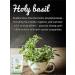 CROW Pack of 2 Tulsi Powder Moringa Powder (500 GM Each) Combo Pack 1 KG by B Naturall - Buy Online on GoSupps.com