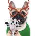5 Pack Dog Squeaky Toys - No Stuffing Animals, Chewable & Crinkly Pet Toys for Large and Medium Dogs | Squeaky Doggie & Puppy Toys Set - Buy Online on GoSupps.com