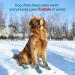 Jzxoiva Large Dog Shoes 4PCS/Set | Breathable Booties for Hardwood Floors & Outdoor Paw Protection | Reflective Strips for Safety | Ideal for Winter, Snow, Hot Pavement | Blue, Width 2.55 inch | 63-78 lbs - Buy Online on GoSupps.com