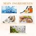 Warm Coconut Fragrance Mist Skin Body Mist Intimate Partner Perfumes for Women Long Lasting Fresh Perfume Spray Portable Natural Non-Greasy Dating Fragrance Warm Coconut (1 Pcs) - Buy Online on GoSupps.com