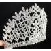Daisy Clear Austrian Crystal Rhinestone Tiara Crown - Silver | Perfect for Bridal, Prom, Pageant - T1861 - Buy Online on GoSupps.com