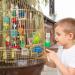 MQUPIN Large Bird Parrot Toys Colorful 22 Inch Wooden Blocks for African Greys, Amazons, Cockatoos and Macaws - Chew Toys for Large Parrots - Buy Online on GoSupps.com