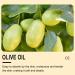 BIOAOUA Olive Oil Use For Face Baby Skin Hair Dry Scalp Massage 100% Pure and Natural Hair Oil Massage Oil Body & Skin Moisturizer & Lubricant (1PC) - Buy Online on GoSupps.com