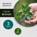 Bacopa Monnieri/Brahmi Tablet - 8000mg 90 Tablets - Buy Online on GoSupps.com