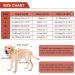 Buy Kuoser Breathable Dog Body for Post-Surgery Care | Leak Protection & Collar Alternative for Dogs & Cats - Buy Online on GoSupps.com