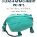 Luffwear Hundred Backpack for Large Dogs - Comfortable Saddlebag for Day Hikes | Front Range Day Pack in Aurora Teal Size L/XL - Buy Online on GoSupps.com