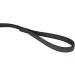 IDC Color & Gray Rubberized Dog Leash - 14mm x 5m with Loop | Durable Black-Gray Design | International Shipping Available - Buy Online on GoSupps.com