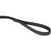 IDC Color & Gray Rubberized Leash - 14mm x 1.2m with Loop | Durable Black-Grey Dog Leash for International Shipping - Buy Online on GoSupps.com