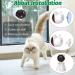 AUKL Motion Activated Cat Laser Toy for Indoor Pets - Interactive and Engaging Entertainment for Cats and Dogs - Buy Online on GoSupps.com