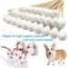 CEZKFH 300 Pack Cotton Swabs for Dogs & Cats - Long 15cm Pet Ear Cleaning Sticks - Ideal for Ear Care & Hygiene - Buy Online on GoSupps.com