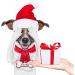Customizable Wooden Dog Bone Christmas Ornaments - Set of 36 | Personalized with Custom Name | Ideal Gift for Pet Lovers | Home Decor for Christmas Tree (Warm Pattern) - Buy Online on GoSupps.com