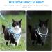 BriFit Cat Dishes with 150cm Leash Break-Safe High-Quality Bowls for Cats & Small Dogs Blue XS - Perfect for Pets 6.61-1lb Shop Now! - Buy Online on GoSupps.com