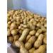 Premium Raw Peanuts in Shell for Birds, Squirrels, Deer & Wildlife - 5 lbs - Buy Online on GoSupps.com