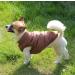 Joydaog 2-Layer Fleece-Lined Dog Jacket | Warm & Windproof Vest for Winter | Extra Soft Brown XXXL/3XL - Buy Online on GoSupps.com