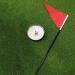 Mini Golf Cup and Flags - Red Replacement Set for Putting Green - 1pcs - Buy Online on GoSupps.com