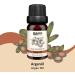 Brubaker Cosmetics 3 Set Argan Oil Gift Set - Healthy Hair Long Eyelashes & Radiant Complexion - Vegan Essential Oils (3 x 10 ml) - Buy Online on GoSupps.com