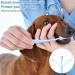 2 Pcs Dog Cat Toothbrush 360 Degree Soft Silicone Pet Toothbrush Small Puppy Kitten Toothbrushes Tiny Soft Dog Toothbrush Cat Dental Care Deep Clean Pet Teeth Cleaning Kit for Dogs Cleaning Mouth - Buy Online on GoSupps.com