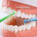 HRASY Orthodontic Toothbrush Set - Double-Ended Interspace & Soft Trim Brush for Braces - 4 Pieces - Buy Online on GoSupps.com
