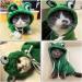 Buy Kapuzen Pet Clothing - Cute Warm Dog Sweater & Hoodie for Dogs and Cats | Fleece Jacket Shirt (Large Green) - International Shipping Available - Buy Online on GoSupps.com